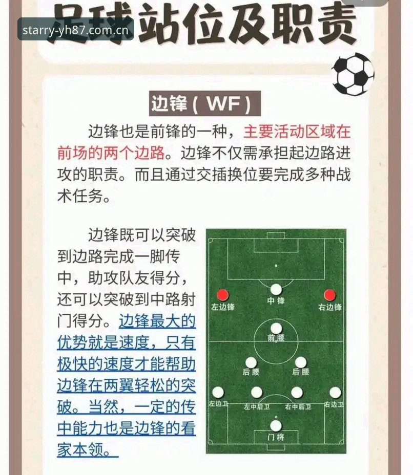 专属视角足球数据详解：从“看热闹”到“看门道”的切换逻辑
